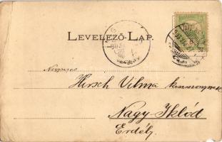 1903 Alsólopassó, Lopassó, Dolny Lopasov; Leányok Lopason (Verbü mellett, Nyitra megye). Tót népvise...