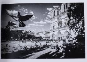 Képzettársítás. Vers: Halász Gyula. Fotók: Kőműves Kata, Sándor László. 2019, Katagraphy Bt. Kiadói ...