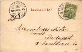 1905 Losonc, Lucenec; Losonci fürdő, Draskóczy villa, Bulyi villa. Kármán kiadása, szecessziós keret...