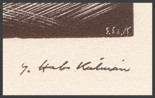 Gáborjáni Szabó Kálmán (1897-1955): Brassó-Városháza, fametszet, papír, jelzett a metszeten, 13x10 c...