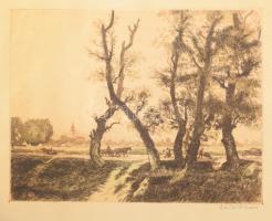 Zádor István (1882-1963): (Szajoli) országút, rézkarc, papír, jelzett, lapszéli apró foltokkal, 23×30 cm