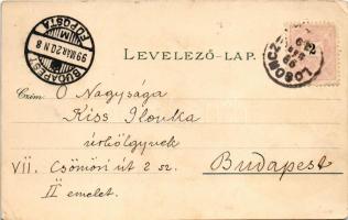 1899 (Vorläufer) Losonc, Lucenec; Prónay kastély, Kaszárnya, Kármán emlék, Gácsi utca / castle, K.u....