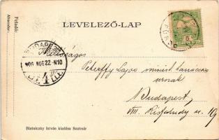 1906 Lublófüred, Lubló-fürdő, Kúpele Lubovna (Ólubló, Stará Lubovna); Auróra villa. Blatniczky Istvá...