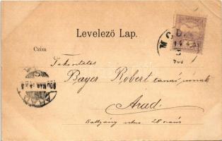 1900 Modor-Harmónia, Modern-Harmonie, Modra; Michnay villa. Levius P. S. kiadása / villa (EB)