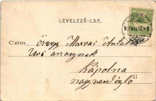 1907 Mátrafüred (Gyöngyös), nyaraló telep látképe. Bendl Károly kiadása (EB)