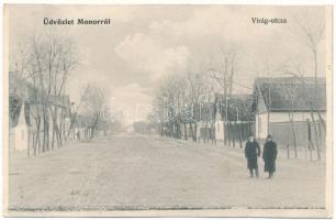 Monor, Virág utca télen (r)