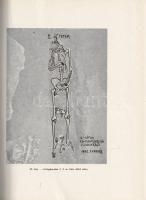 Garády Sándor: Budapest székesfőváros területén végzett középkori ásatások összefoglaló ismertetése ...