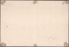 1939 Cziglényi László: Borítóterv Nyirő József: A sibói bölény c. könyvhöz, kézzel festett, jelzett ...