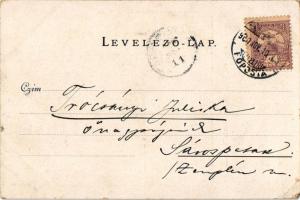 1900 Budapest V. Deák Ferenc szobor. Kunstverlag München Ludwig Frank &amp; Co. No. 554. (EM)