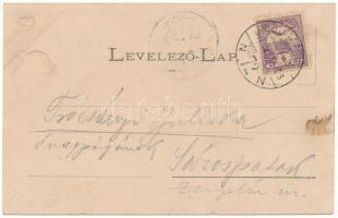 1901 Budapest XI. Gellérthegyi barlang, Ferenc József híd. Fénynyomat Divald műintézetéből 126. (ázo...