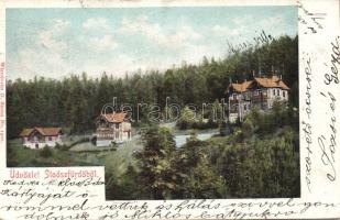 Stószfürdő with Villa Mária (Rb)