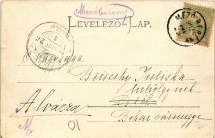 1902 Mezőberény, Piactér és Nagy utca, gyógyszertár, üzletek. Piltz Márton kiadása (fa)