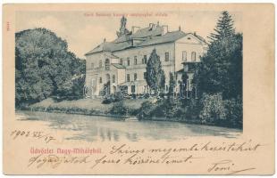 1903 Nagymihály, Michalovce; Gróf Sztáray kastély sztrajnyáni oldala / castle (r)