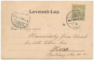 1903 Nagymihály, Michalovce; Gróf Sztáray kastély sztrajnyáni oldala / castle (r)