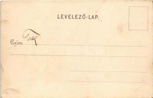 Lugos, Lugoj; Vármegyeháza. Auspitz Adolf kiadása / Komitatshaus / county hall (EK)