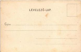 Lugos, Lugoj; látkép, Grünberger Ede, Wolf Samu és fia üzlete. Auspitz Adolf kiadása / general view,...