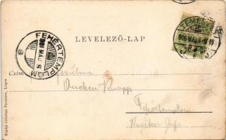 1906 Lugos, Lugoj; M. kir. állami főgimnázium, uszoda. Cristina Pacurare kiadása / grammar school, s...