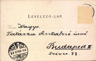 1901 Marilla, Marillavölgy, Marila; Mária lak télen. Gross Gyula kiadása / villa in winter (Rb)