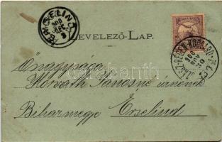 1900 Maroskeresztúr, Cristuru Mures, Cristesti; Z. Knöpfler Elek nyaralója, kastély este holdfényben...