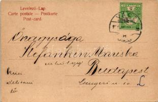 Máramaros, Maramures; Oláh ház / Transylvanian folklore, Vlach house (EK)