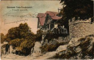 1906 Tata, Tata-Tóváros; Tóparti nyaralók, villák (fl)