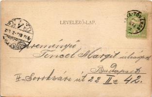 1906 Tata, Tata-Tóváros; Tóparti nyaralók, villák (fl)