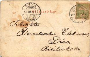 1905 Medgyes, Mediasch, Medias; Turnhalle / Tornacsarnok. Fritz Guggenberger kiadása / gym hall (fa)