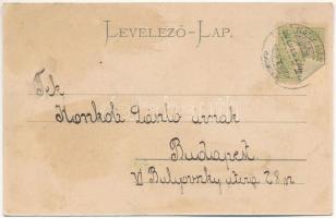 1902 Nagybánya, Baia Mare; Lendway tér, Lendvay Márton szobra, Polgári olvasókör. Kovács Gyula kiadá...