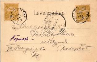 1900 Felsőbodok, Nagybodok, Horné Obdokovce; Stummer kastély / castle (fl)