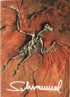 Schrammel Imre: Schrammel. Janus Pannonius Múzeum Művészeti kiadványai sorozat 99. Pécs, 2003., Baranya Megyei Múzeumok Igazgatósága - Janus Pannonius Múzeum, 103+1 p. Gazdag képanyaggal, a művész munkáinak reprodukcióival illusztrált. Kiadói kartonált papírkötés, kiadói papír védőborítóban.