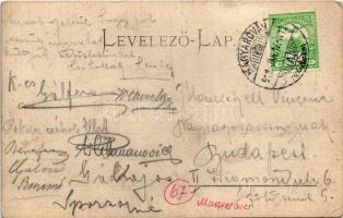 1911 Magyaróvár, Mosonmagyaróvár; Deák tér, Takarékpénztár bérháza, Fekete Sas vendéglő. Buda János ...