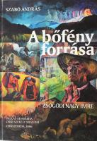 Szabó András: A bőfény forrása. Zsögödi Nagy Imre. Csíkszereda, 2006, Pallas-Akadémia - Csíki Székely Múzeum, 196+2 p.+25 t. Gazdag képanyaggal illusztrálva. Kiadói kartonált papírkötés.