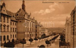 1909 Besztercebánya, Banská Bystrica; Deák Ferenc utca, villa sor. Machold F. kiadása / street view, villas (EK)