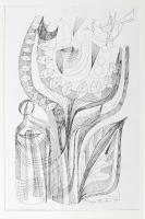 Varga Hajdú István (1920-1981): Béke galamb 1971. Nyomat, papír. 34x23cm. Paszpartuban.