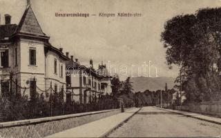 Besztercebánya Könyves Kálmán street (EB)