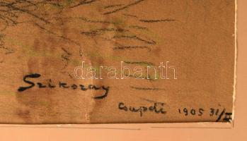 Szikszay Ferenc (1870-1908): Vándor a tájban (Csabdi?), 1905. Ceruza, papír, jelezve jobbra lent, sé...