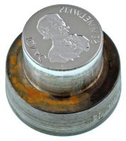 Kiss Nagy András (1930-1997) DN "Orvos sor / Semmelweis Ignác" PP emlékérem előlapi verőtő (32mm), készült az érem kibocsátásának idején a Pénzverőben (42,5mm)