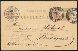 1896 2kr díjjegyes milleniumi képeslap osztrák 2kr bérmentesítéssel "BRUCK A. D. MUR BAHNHOF" - Budapest