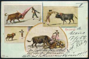 Mexico 1902 Bikaviadal képeslap Münchenbe