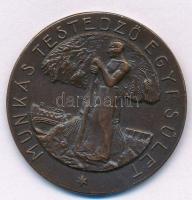 Ripszám Henrik (1889-1976) DN "Munkás Testedző Egyesület" bronz emlékérem (33mm) T:XF
