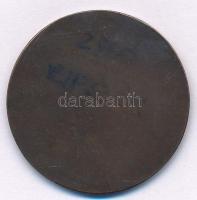 Ripszám Henrik (1889-1976) DN "Munkás Testedző Egyesület" bronz emlékérem (33mm) T:XF
