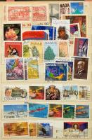 Kanada kis tétel közepes berakóban