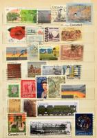 Kanada kis tétel közepes berakóban