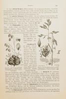 Paul Wossidlo: Leitfaden der Botanik für höhere Lehranstalten. Berlin, 1911, Weidmannsche Buchhandlu...