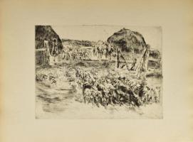 Aszódi Weil Erzsébet (1901-1976): Birkanyáj (cím nélkül). Rézkarc, papír. Jelzett a karcon (halványan). 27,5x39,5 cm