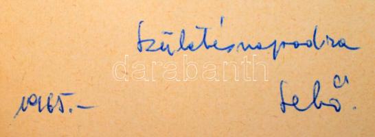 Diószegi Vilmos: Samanizmus. Bp., 1962, Gondolat. Kiadói papírkötés, ajándékozási sorokkal, jó állap...