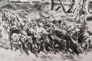 Aszódi Weil Erzsébet (1901-1976): Birkanyáj (cím nélkül). Rézkarc, papír. Jelzett a karcon (halványa...