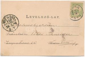 1900 Nagyszeben, Hermannstadt, Sibiu; Partie aus dem Erlenpark. Verlag G. A. Seraphin. Lichtdruck v....