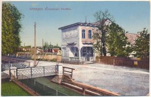 1915 Eperjes, Presov; Korcsolyázó pavilon. Molnár Jenő kiadása / ice skating hall (EK)