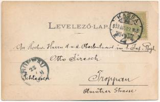 1903 Kassa, Kosice; Fő utca, színház. Egy- és kétkoronás áruház kiadása / main street, theatre (EB)